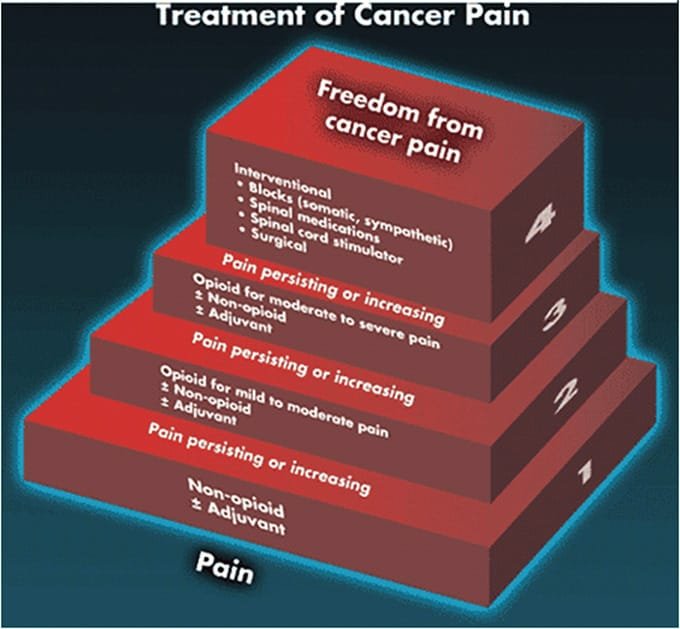 Treatment of Cancer Pain